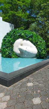 彫刻の森美術館に投稿された画像（2024/5/4）