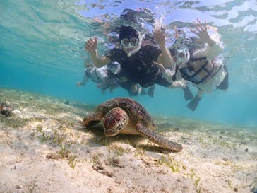 初心者専門宮古島シュノーケリングツアーに投稿された画像（2024/5/4）