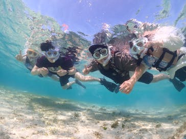 初心者専門宮古島シュノーケリングツアーに投稿された画像（2024/5/4）