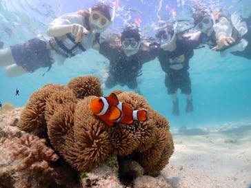 初心者専門宮古島シュノーケリングツアーに投稿された画像（2024/5/4）