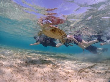 初心者専門宮古島シュノーケリングツアーに投稿された画像（2024/5/4）