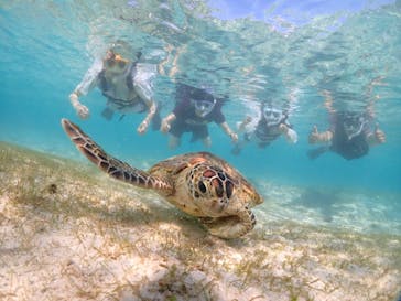 宮古島マリンショップSmileyに投稿された画像（2024/5/4）