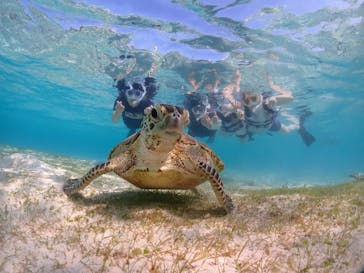 宮古島マリンショップSmileyに投稿された画像（2024/5/4）