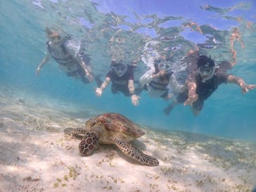 宮古島マリンショップSmileyに投稿された画像（2024/5/4）