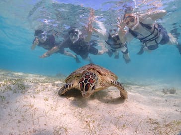 宮古島マリンショップSmileyに投稿された画像（2024/5/4）