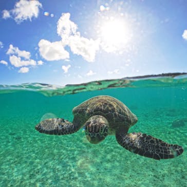 宮古島マリンショップSmileyに投稿された画像（2024/5/4）