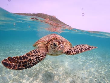 宮古島マリンショップSmileyに投稿された画像（2024/5/4）