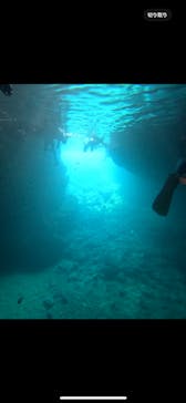 武藤潜水に投稿された画像（2024/5/4）