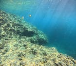 沖縄マリンサービス碧に投稿された画像（2024/5/4）