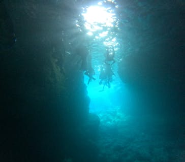 沖縄マリンサービス碧に投稿された画像（2024/5/4）