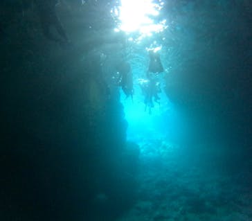 沖縄マリンサービス碧に投稿された画像（2024/5/4）