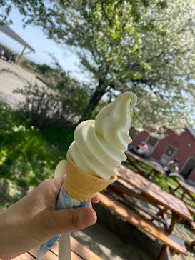 那須どうぶつ王国に投稿された画像（2024/5/4）