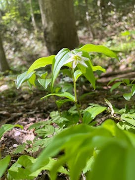 那須どうぶつ王国に投稿された画像（2024/5/4）
