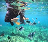 沖縄マリンサービス碧に投稿された画像（2024/5/4）