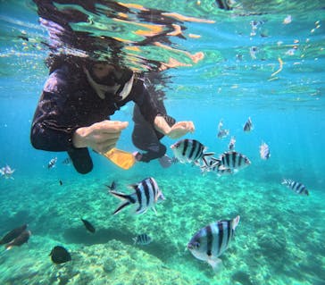 沖縄マリンサービス碧に投稿された画像（2024/5/4）