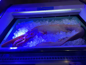 仙台うみの杜水族館に投稿された画像（2024/5/4）