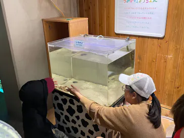 仙台うみの杜水族館に投稿された画像（2024/5/4）