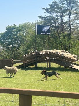 那須どうぶつ王国に投稿された画像（2024/5/4）