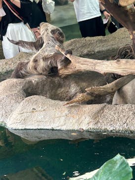 那須どうぶつ王国に投稿された画像（2024/5/4）