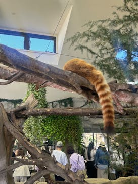 那須どうぶつ王国に投稿された画像（2024/5/4）