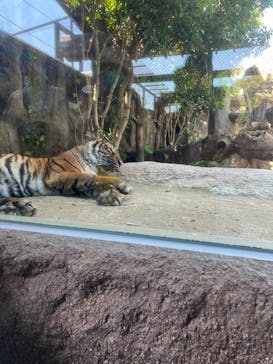 神戸どうぶつ王国に投稿された画像（2024/5/4）