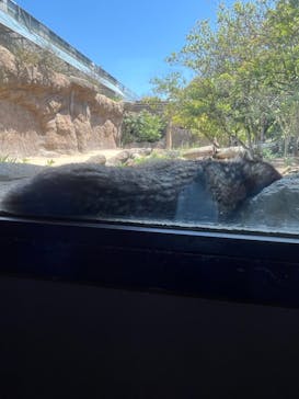 神戸どうぶつ王国に投稿された画像（2024/5/4）