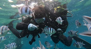 武藤潜水に投稿された画像（2024/5/4）