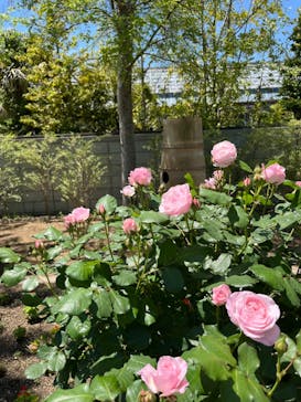 神戸どうぶつ王国に投稿された画像（2024/5/3）