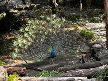 九十九島動植物園森きららに投稿された画像（2024/5/4）