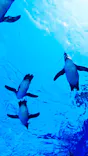 サンシャイン水族館に投稿された画像（2024/5/4）