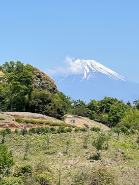 修善寺虹の郷に投稿された画像（2024/5/4）