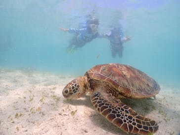 宮古島マリンショップSmileyに投稿された画像（2024/5/4）