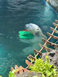 天王寺動物園に投稿された画像（2024/5/4）