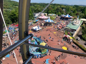 日本モンキーパークに投稿された画像（2024/5/4）