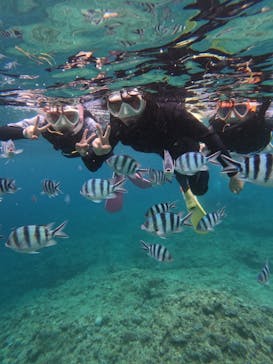 沖縄マリンサービス碧に投稿された画像（2024/5/4）