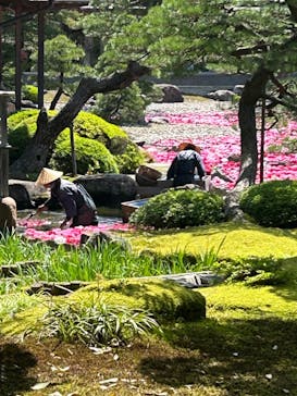 日本庭園　由志園に投稿された画像（2024/5/4）