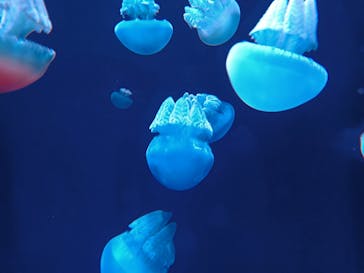 AOAO SAPPOROに投稿された画像（2024/5/4）