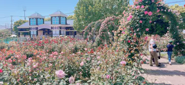 ひらかたパークに投稿された画像（2024/5/4）