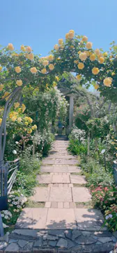 ひらかたパークに投稿された画像（2024/5/4）