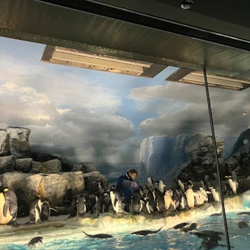 名古屋港水族館に投稿された画像（2024/5/4）