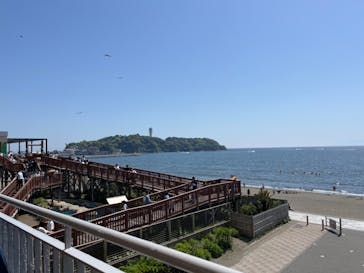 新江ノ島水族館に投稿された画像（2024/5/4）