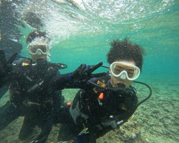 武藤潜水に投稿された画像（2024/5/4）