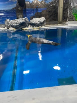越前松島水族館に投稿された画像（2024/5/4）