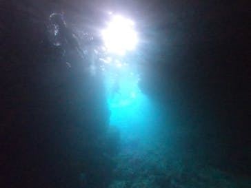 ダイビングショップ　ハイビスカスに投稿された画像（2024/5/4）