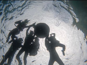 武藤潜水に投稿された画像（2024/5/4）