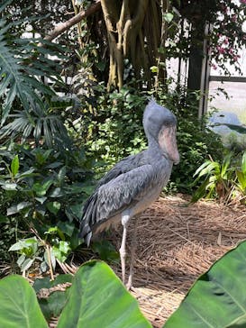 神戸どうぶつ王国に投稿された画像（2024/5/4）