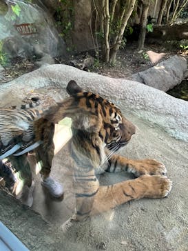 神戸どうぶつ王国に投稿された画像（2024/5/4）