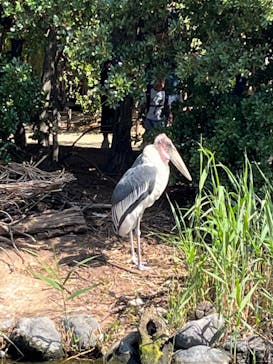 神戸どうぶつ王国に投稿された画像（2024/5/4）