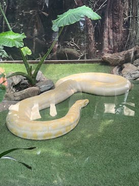 神戸どうぶつ王国に投稿された画像（2024/5/4）