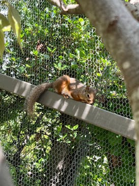 神戸どうぶつ王国に投稿された画像（2024/5/4）
